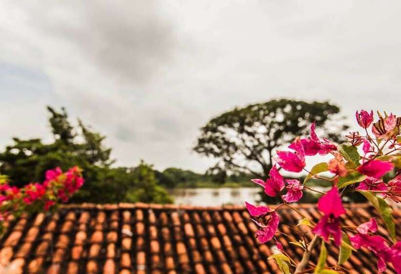 هتل La Casa Amarilla