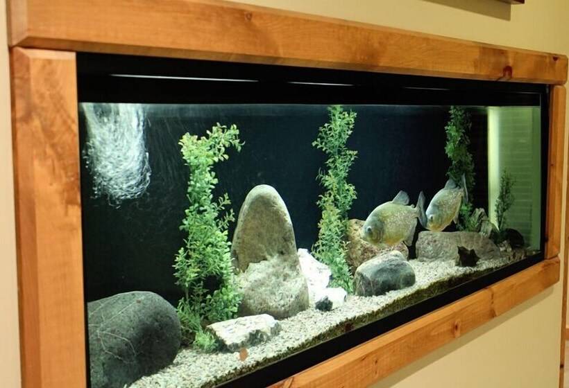 Hotel Northern Greens Resort