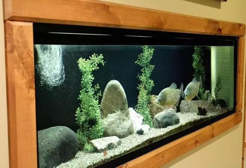 ホテル Northern Greens Resort