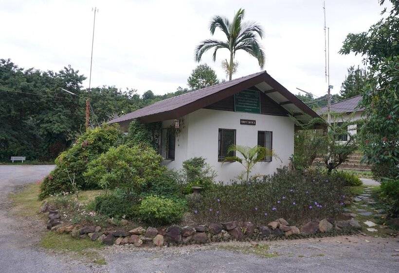 Отель Rungyen Resort