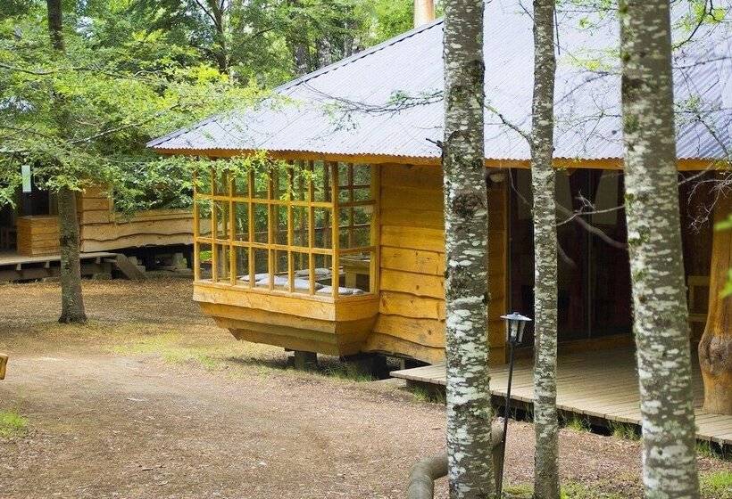 هتل Termas Menetue