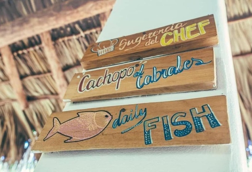 هاستل Las Dunas Surf Resort