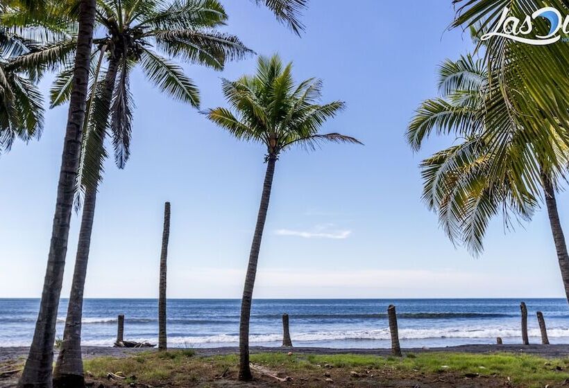 هاستل Las Dunas Surf Resort