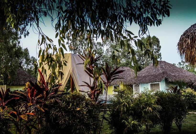 هاستل Las Dunas Surf Resort