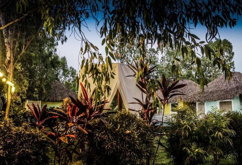 هاستل Las Dunas Surf Resort