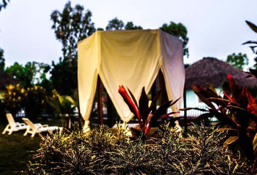 هاستل Las Dunas Surf Resort