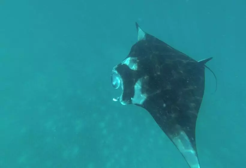 پانسیون Mathiveri Lodge