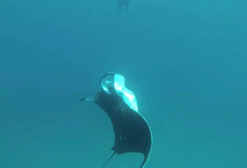 پانسیون Mathiveri Lodge