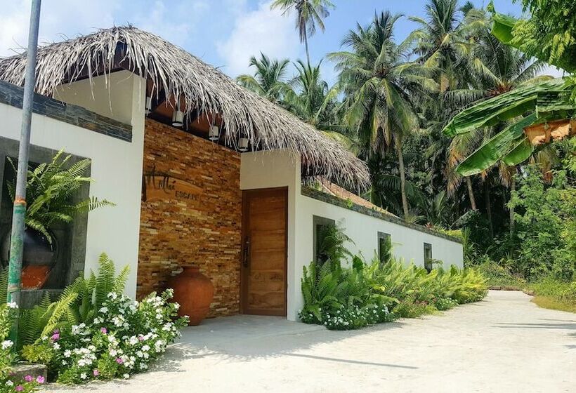 پانسیون Nolhi Escape