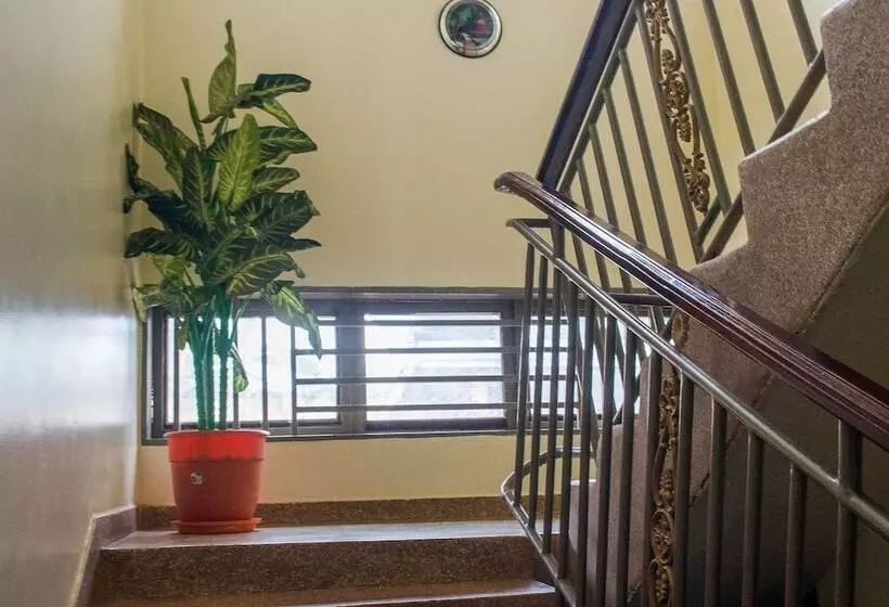 پانسیون Palace