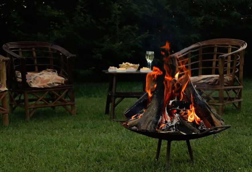 פנסיון Posada Jasy