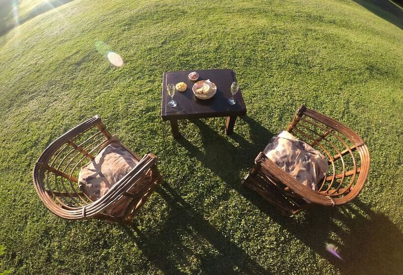 פנסיון Posada Jasy