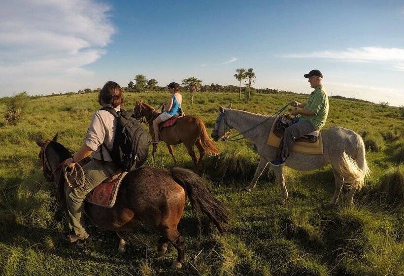 פנסיון Posada Jasy