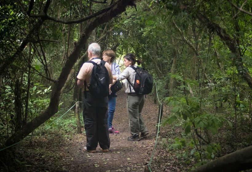 פנסיון Posada Jasy