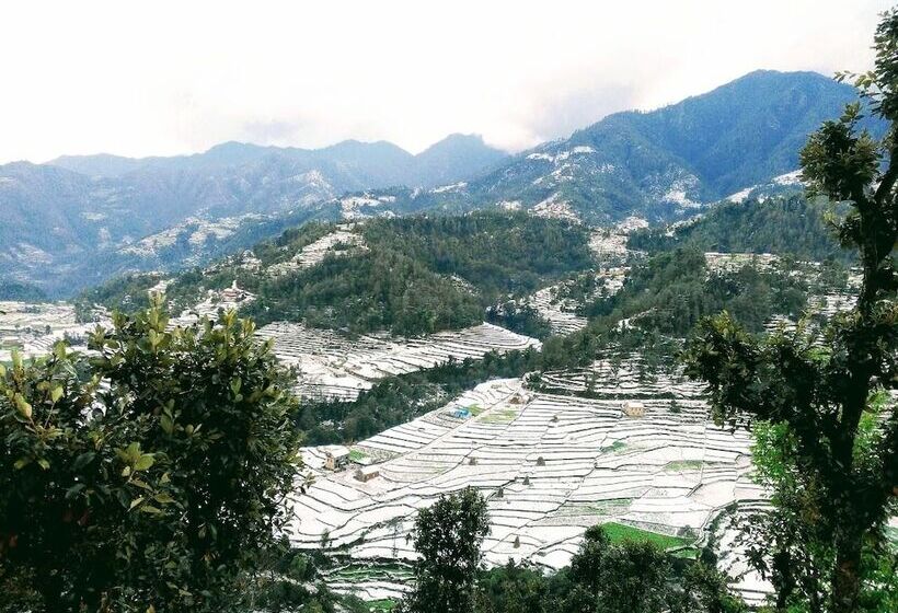 پانسیون Retreat At Damaar