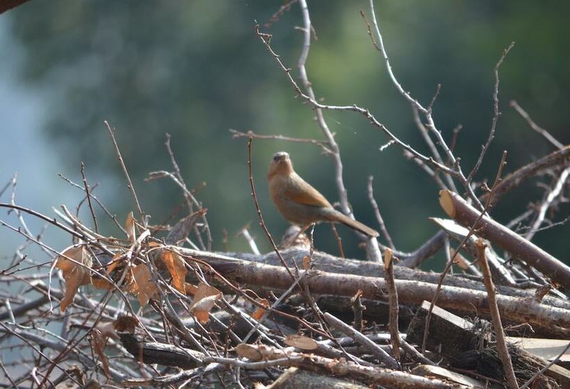 پانسیون Retreat At Damaar
