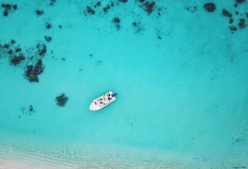 پانسیون Small Island Lodge