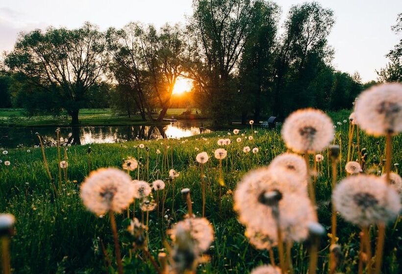 پانسیون Usadba Skornyakovo Arhangelskoye