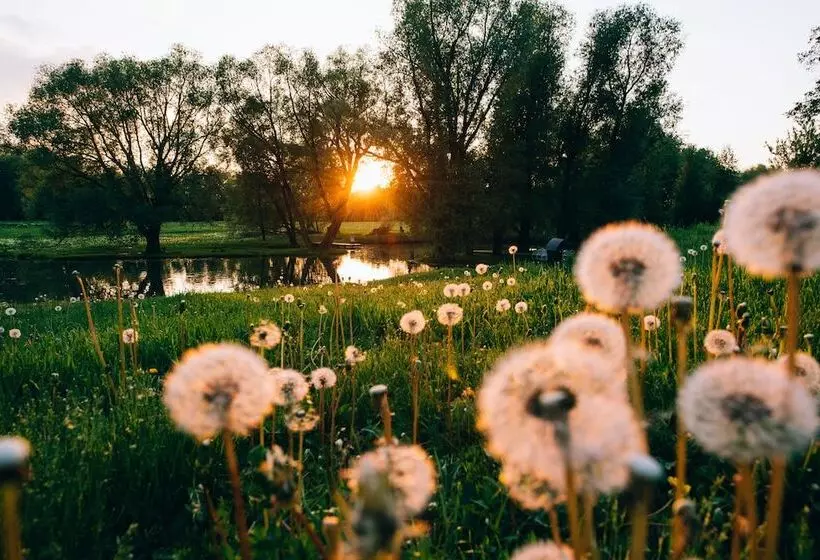 ペンション Usadba Skornyakovo Arhangelskoye