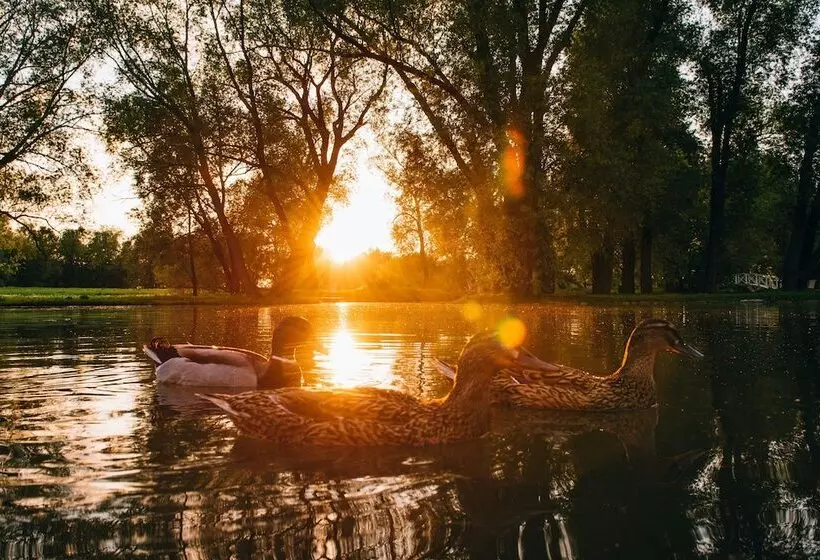 ペンション Usadba Skornyakovo Arhangelskoye