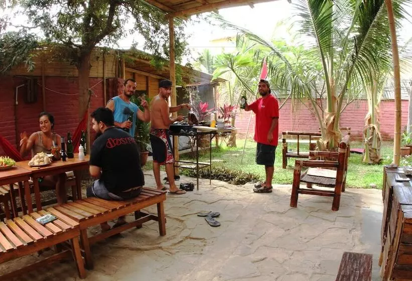 Taroland   Hostel
