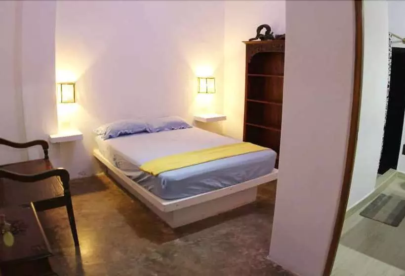 Taroland   Hostel