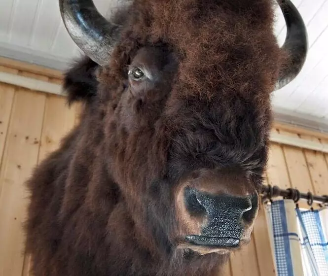 Anttilan Tila   Kartano Hostel