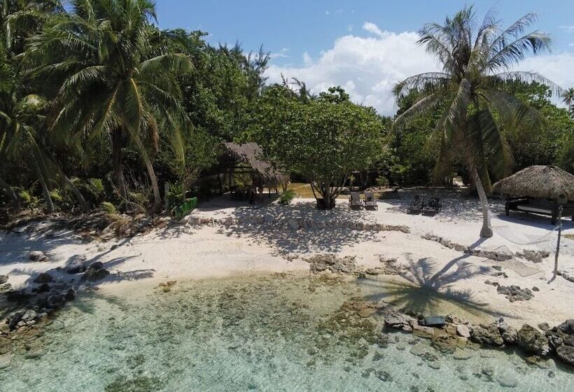 تختخواب و صبحانه Le Coconut Lodge