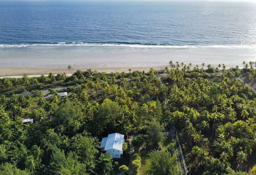 تختخواب و صبحانه Le Coconut Lodge