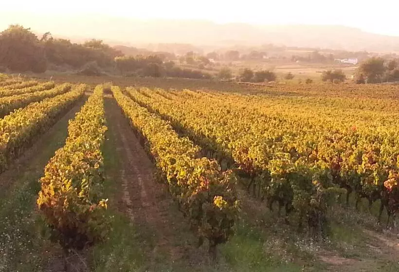 Aamiaismajoitus (B&B) Chenesverts Bucaille