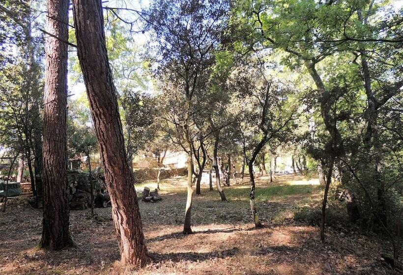 ベッドアンドブレックファースト Chenesverts Bucaille