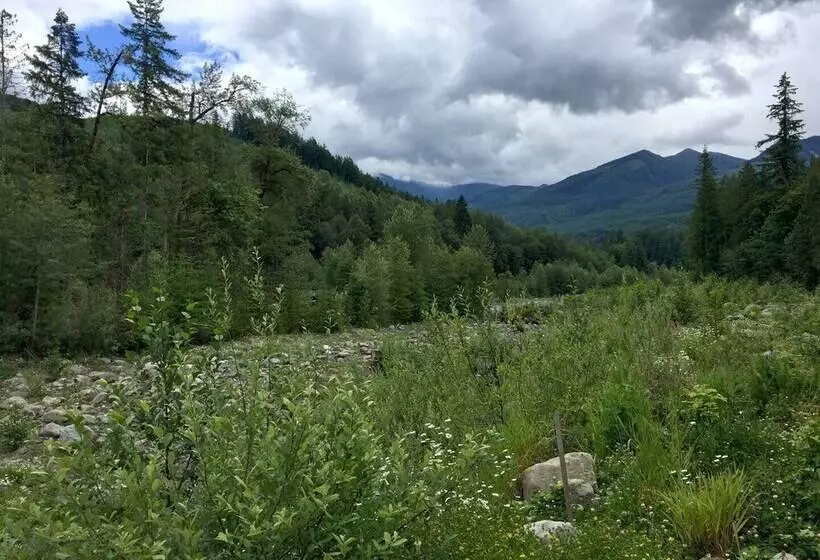 Glacier Springs – Cabin #16   1br Cabin