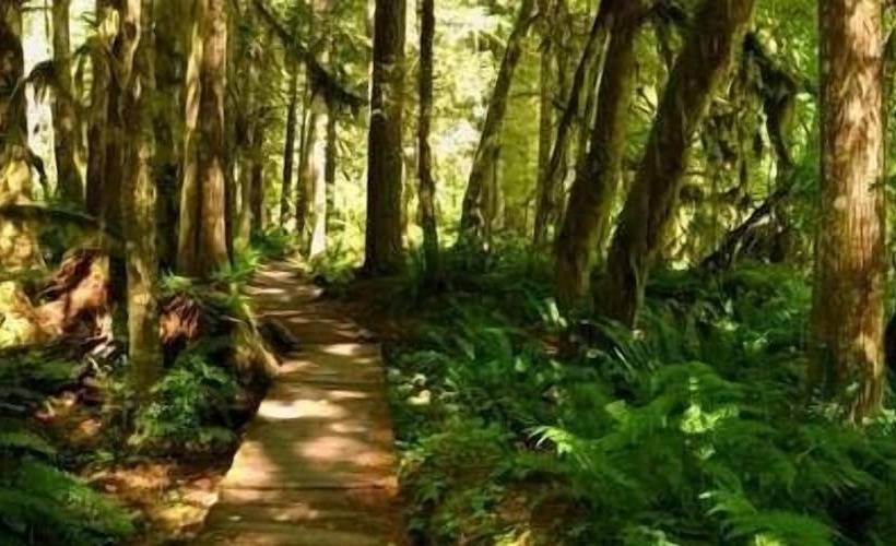 Glacier Springs – Cabin #16   1br Cabin