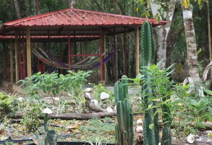 ホテル Cebaco Sunrise Lodge