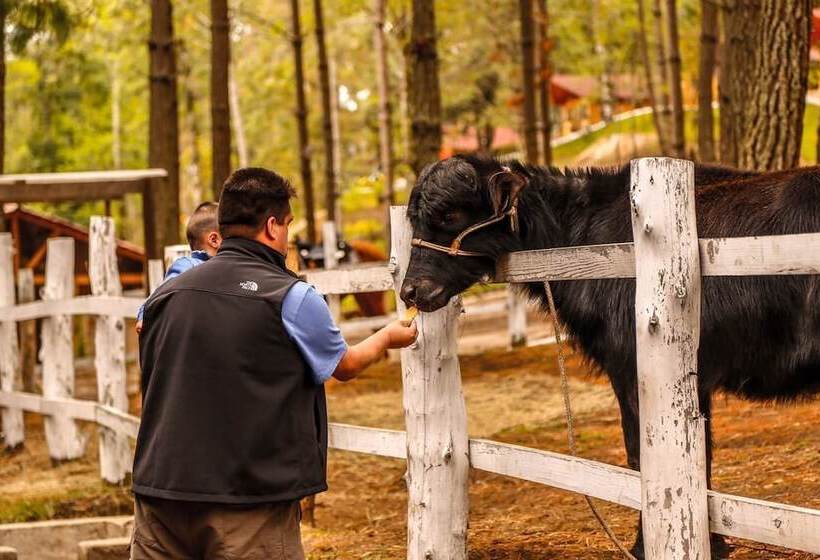 هتل El Remanso De Tecpan