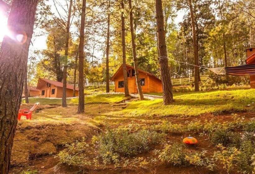 هتل El Remanso De Tecpan