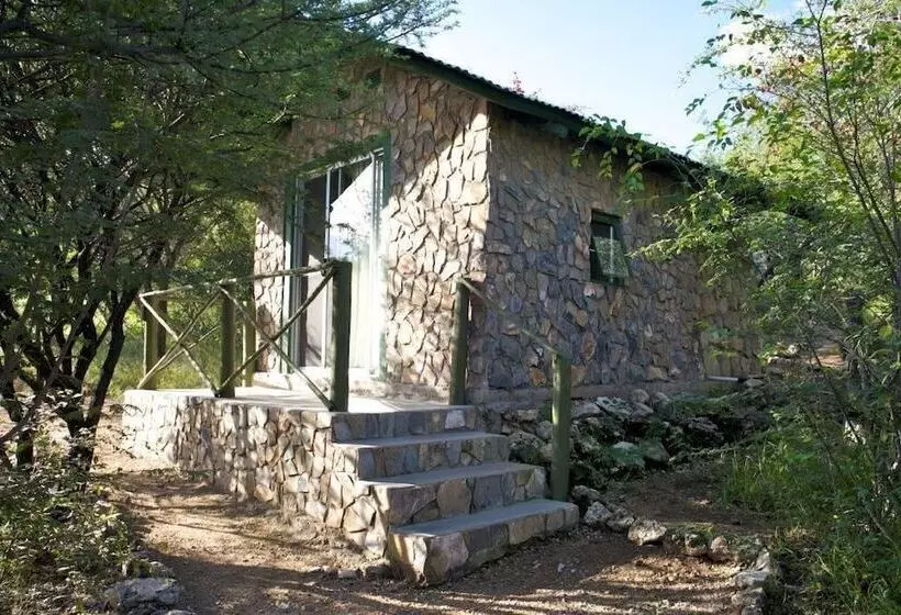 هتل Sasa Safari Camp