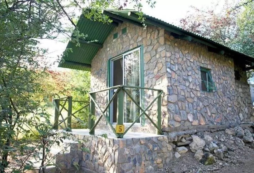 هتل Sasa Safari Camp