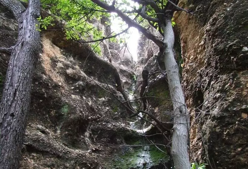 هتل Sasa Safari Camp