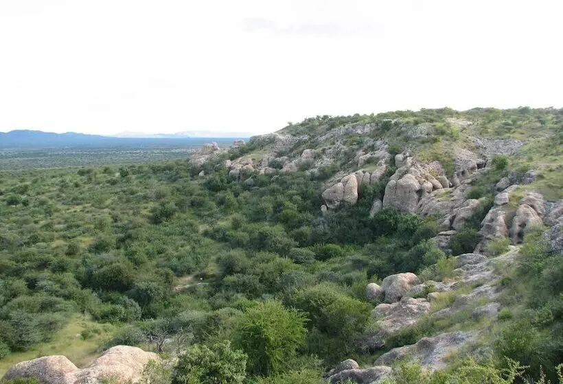 هتل Sasa Safari Camp