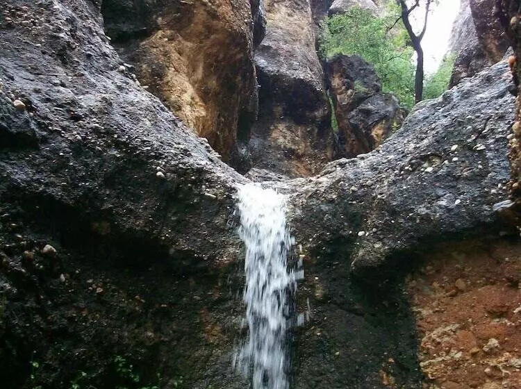 هتل Sasa Safari Camp