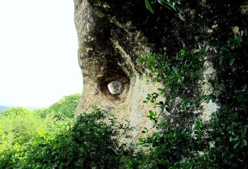 酒店 Sasa Safari Camp