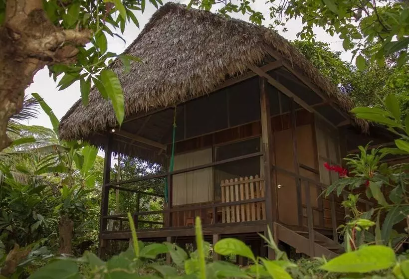 ホテル Tambopata River