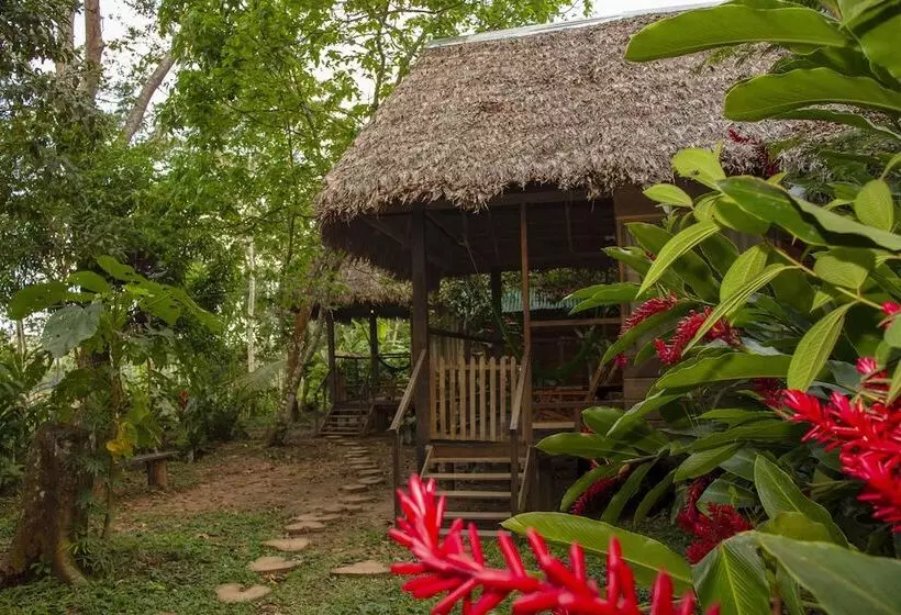 ホテル Tambopata River
