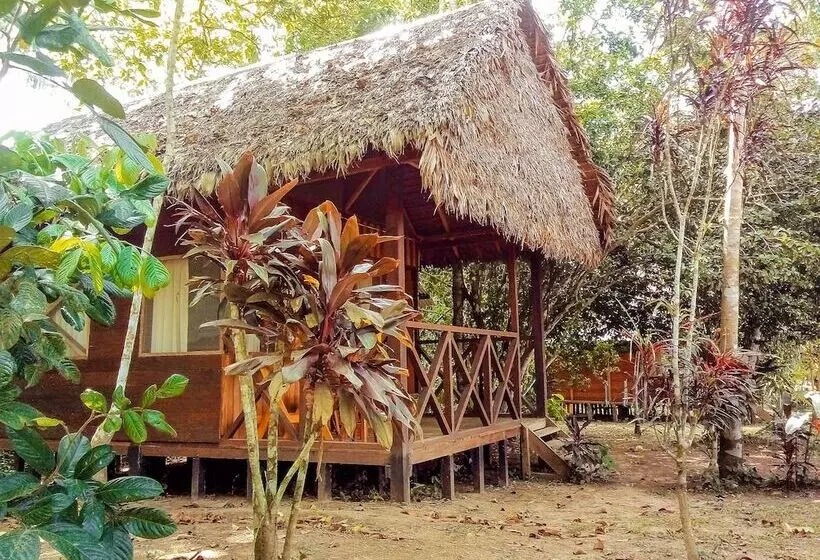 ホテル Tambopata River