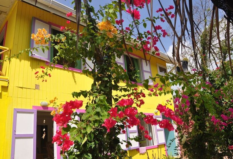 Hotel Yellow Home Providence Island