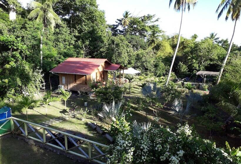 Hotel Yellow Home Providence Island