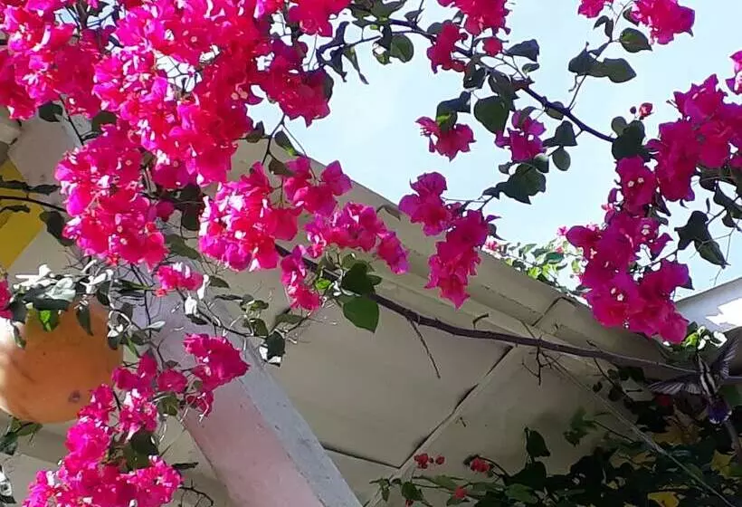 ホテル Yellow Home Providence Island