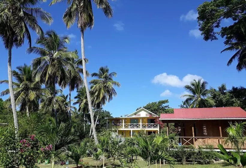 ホテル Yellow Home Providence Island