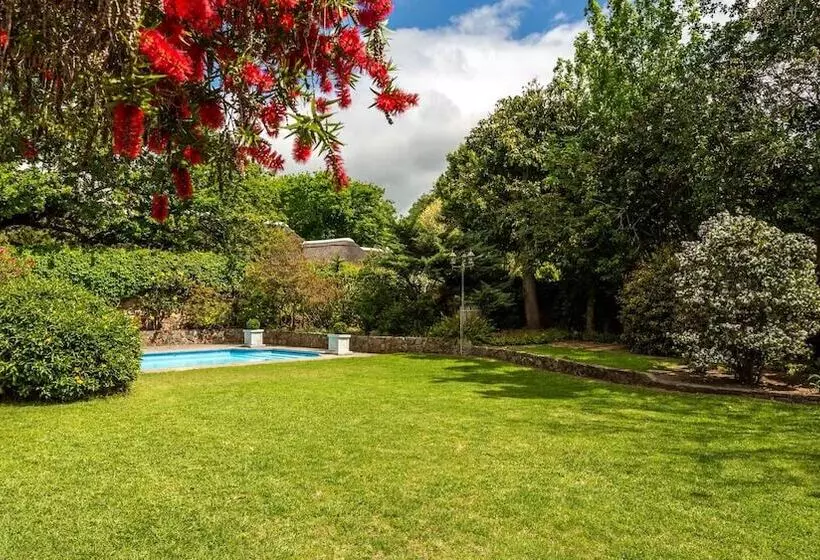 ペンション Alphen Lodge Constantia